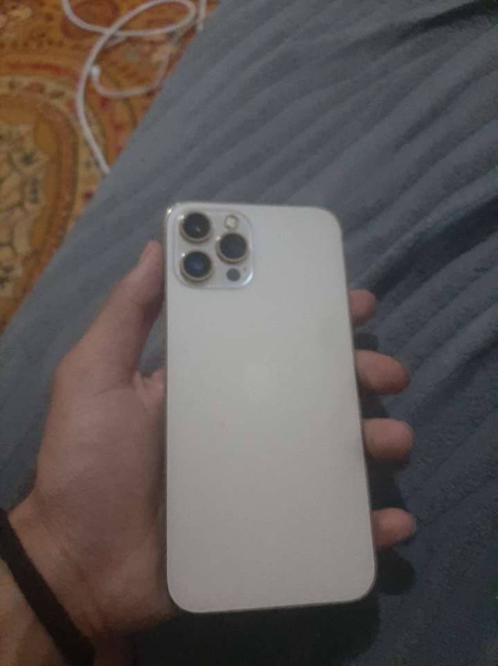 Apple iPhone 12 Pro Max 1