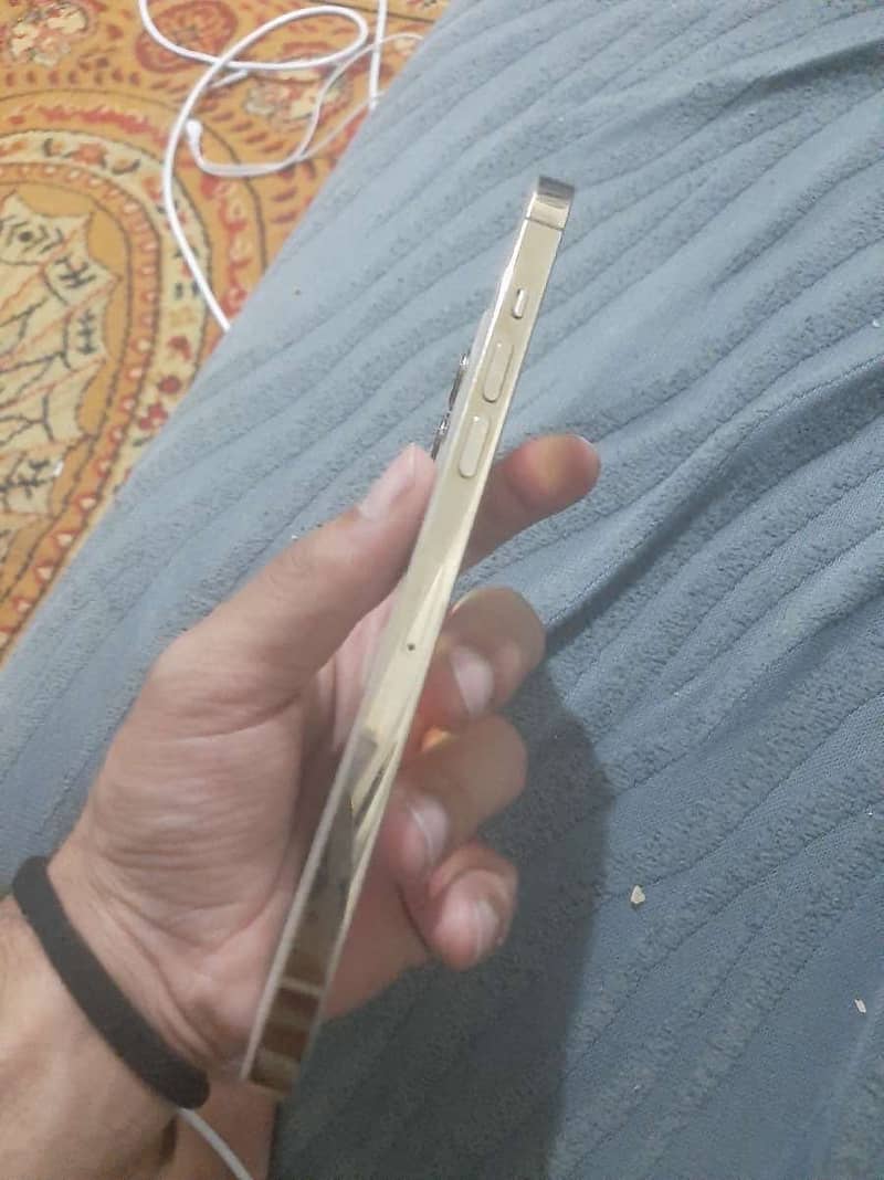 Apple iPhone 12 Pro Max 3