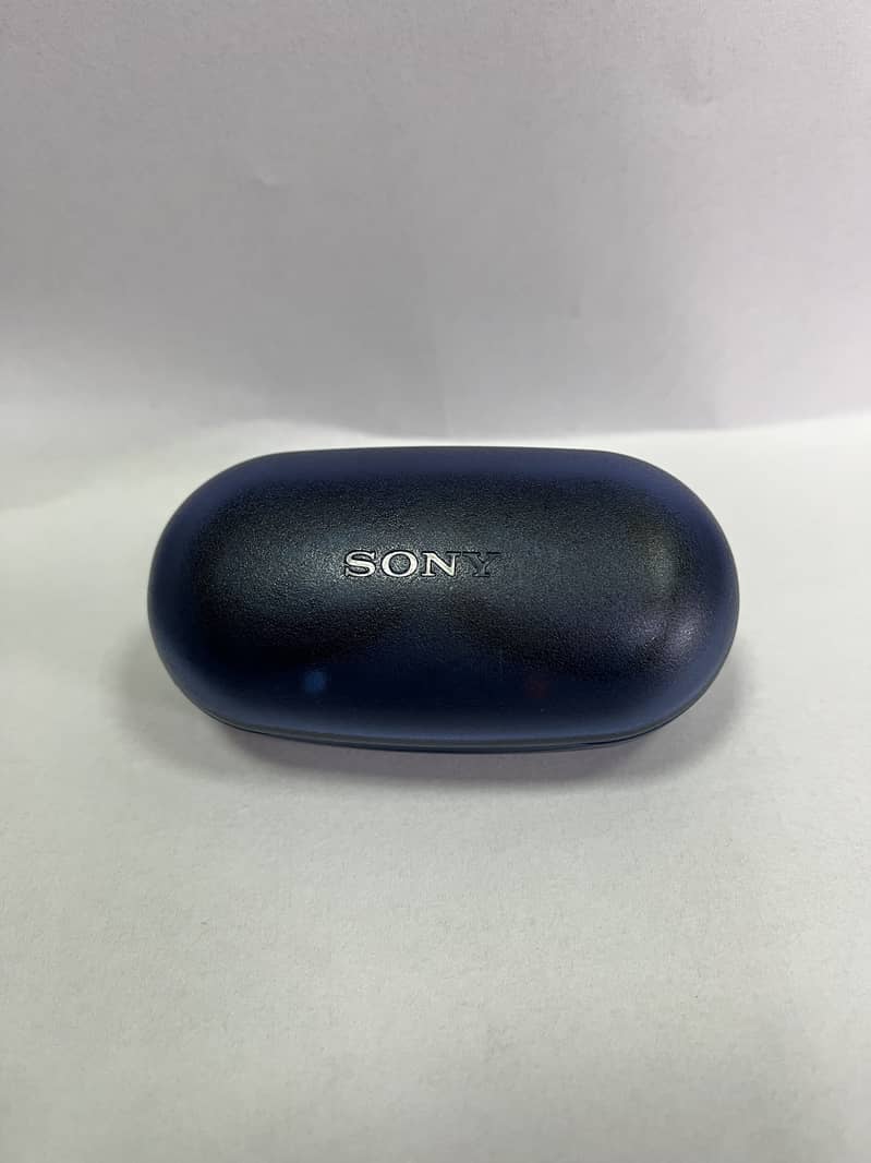 Sony earbuds 0