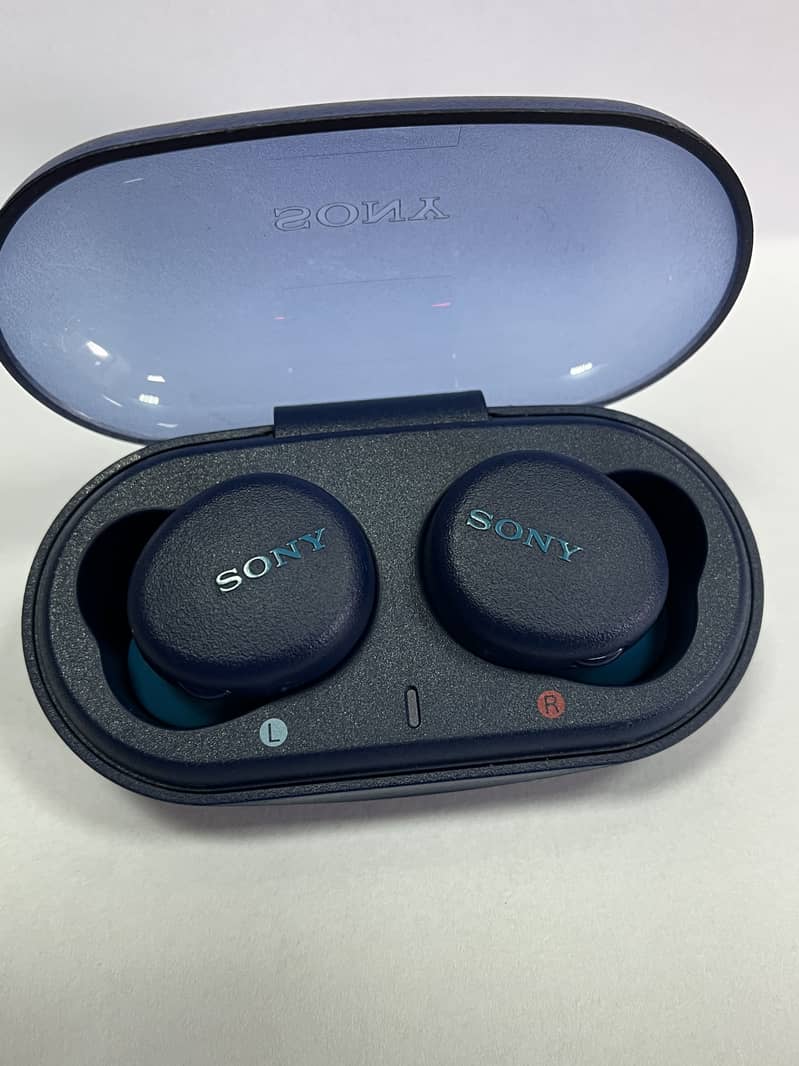 Sony earbuds 1