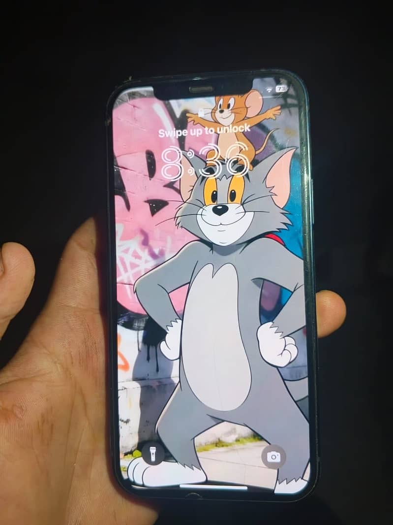 Apple iPhone 12 1