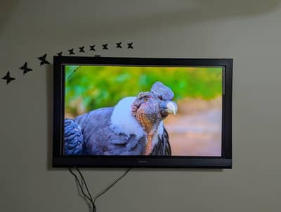 Sony Bravia LCD TV/ 52 inch / with X96Q Android TV Box