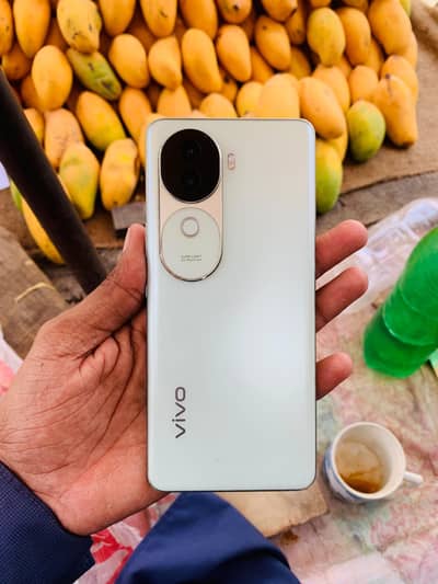 Vivo V40e