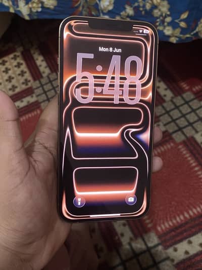 Apple iPhone 12 Pro Max non ota fu