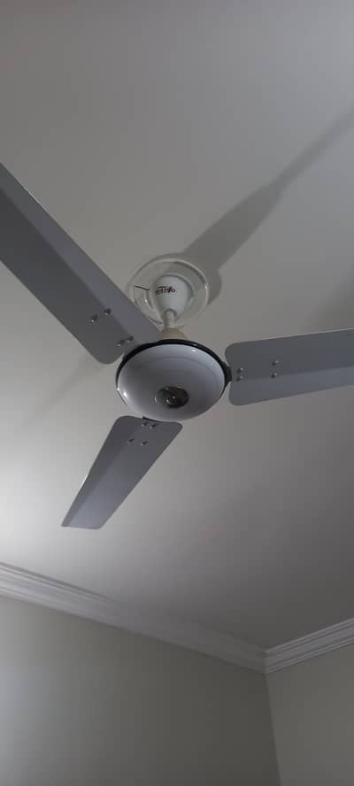 Celling fans 02