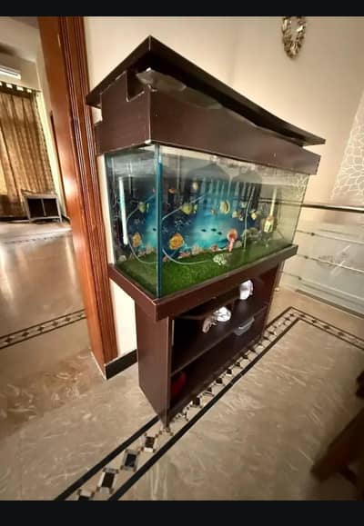 glass tank with wooden stand n hood