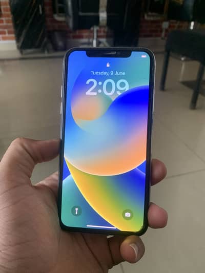 Apple iPhone X