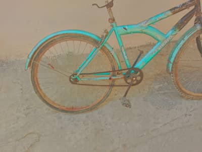 cycle for sale