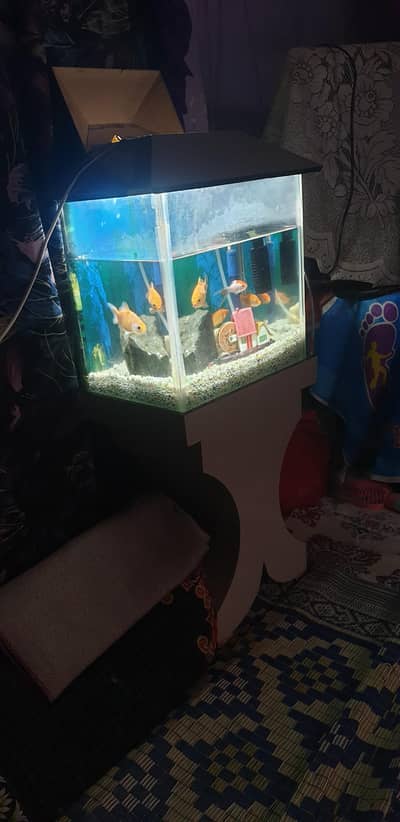 fish tank 03123778573