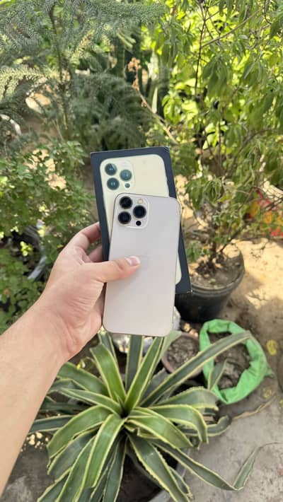Apple iPhone 13 Pro Max Dual Pta