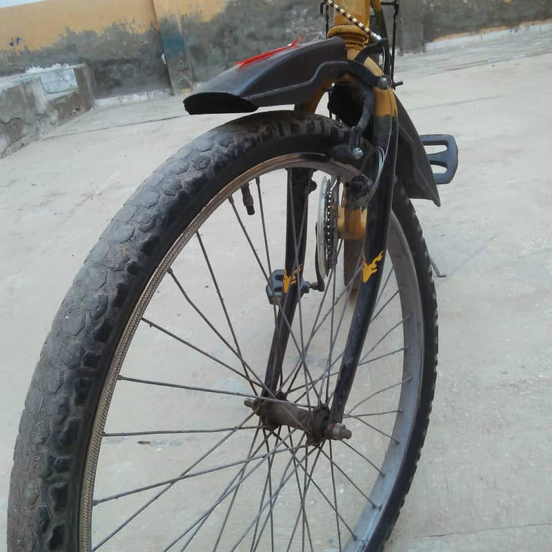 weeler cycle 6