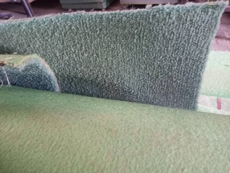 carpet 0
