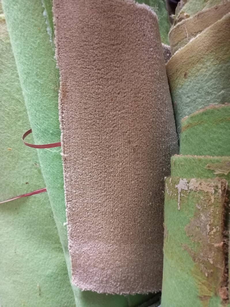 carpet 1