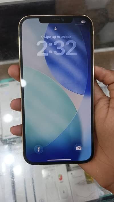 Apple iPhone 12 Pro Max