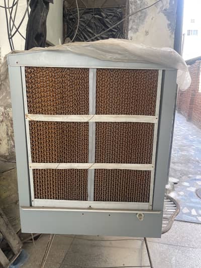 Cooler 240 V