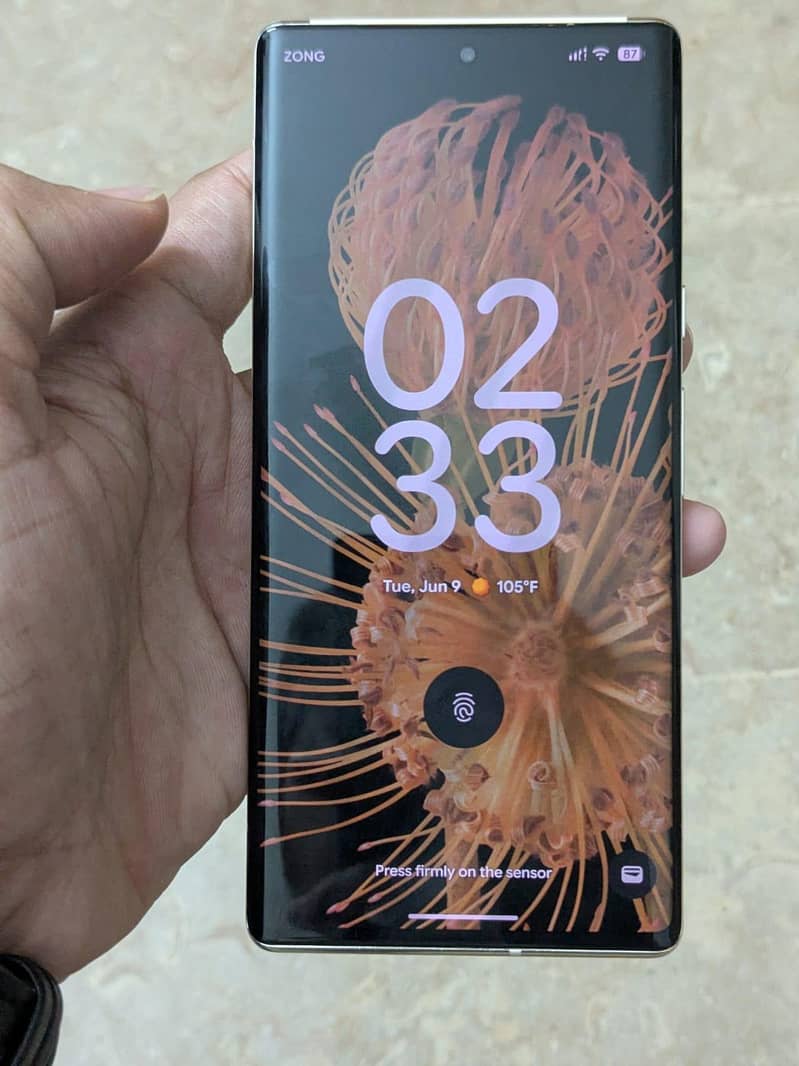 Google Pixel 6 Pro 1