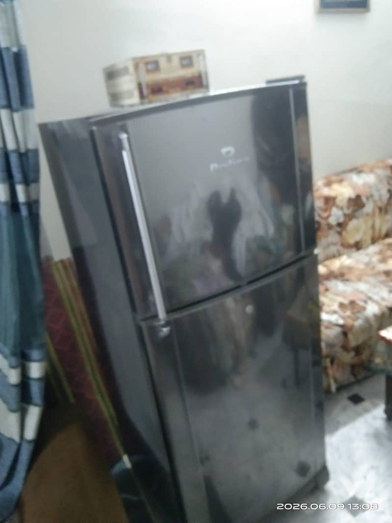 frige 1