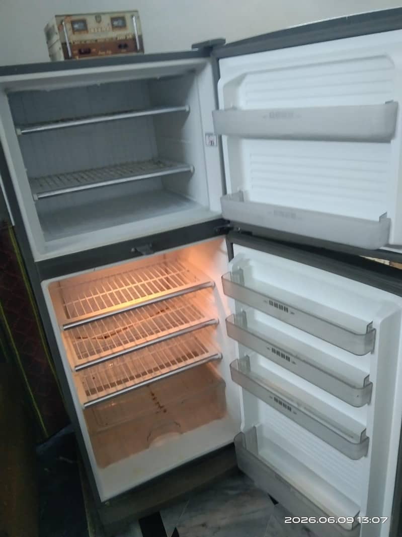 frige 4