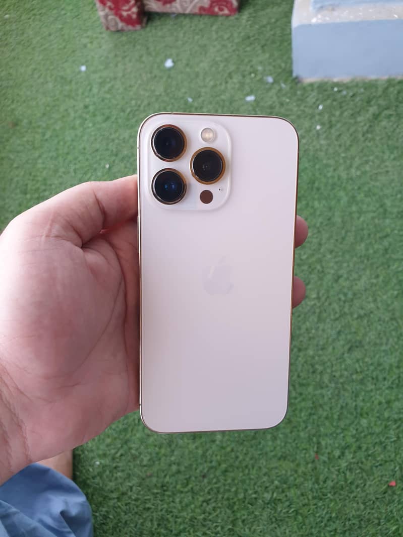 Apple iPhone 13 Pro 0