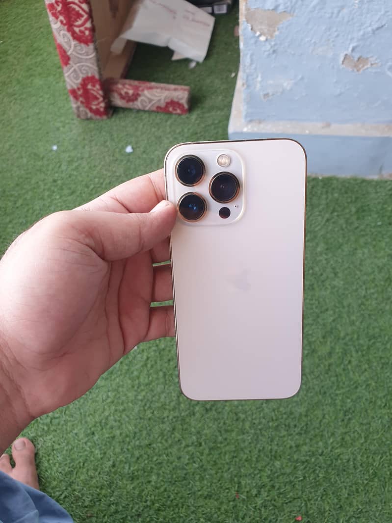 Apple iPhone 13 Pro 1