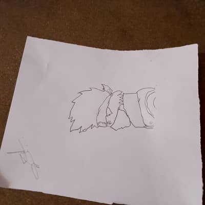 anime drawing