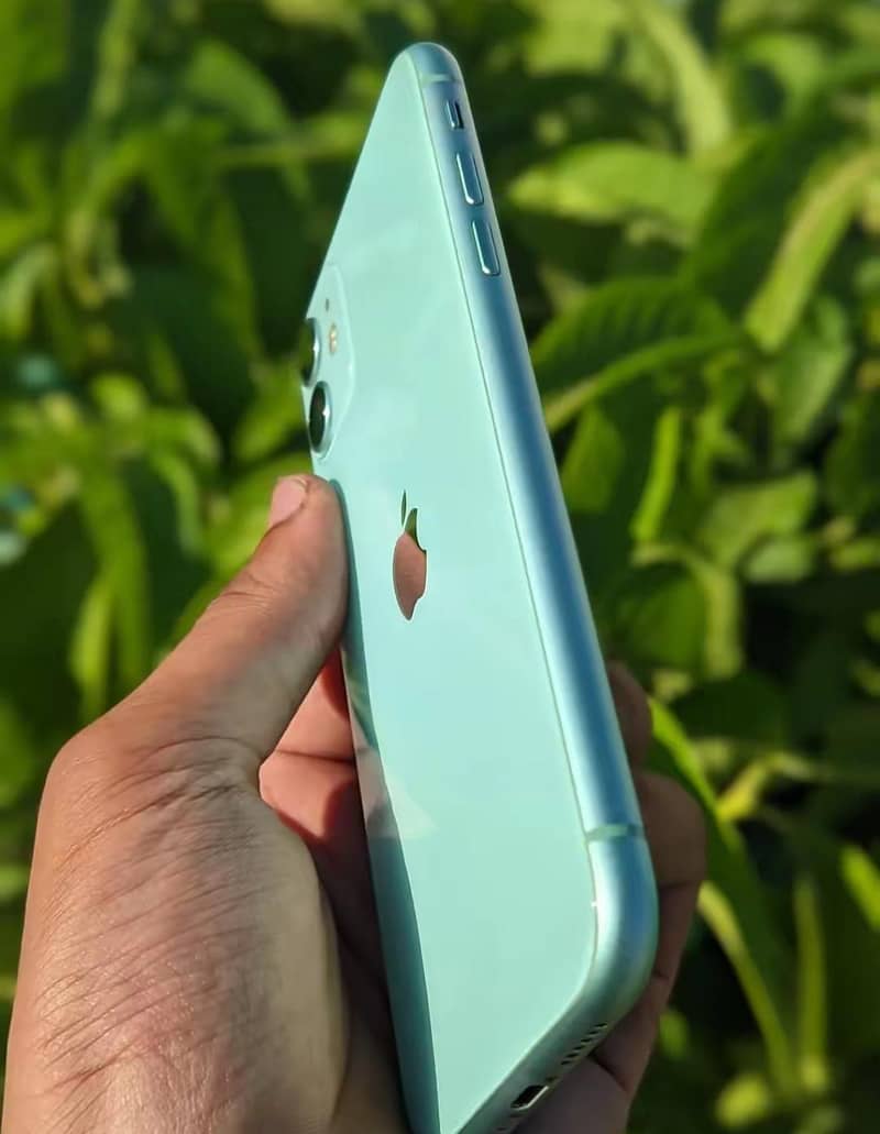 Apple iPhone 11 2