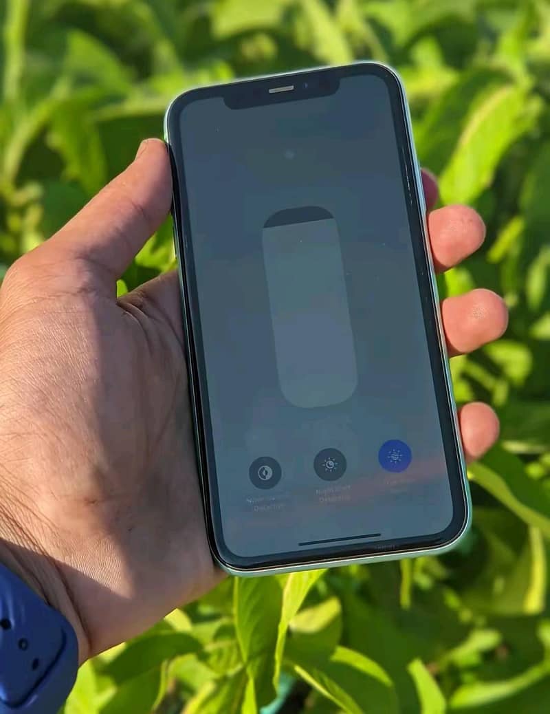 Apple iPhone 11 5