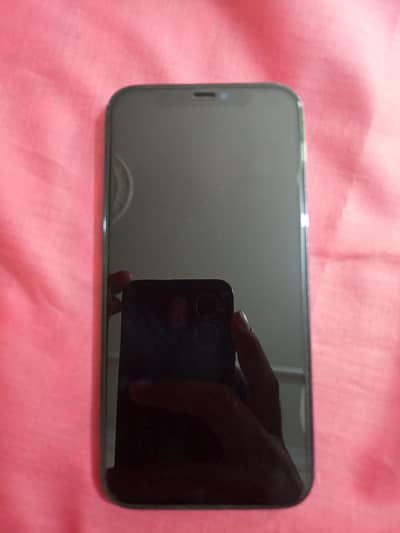 Apple iPhone 12 Pro