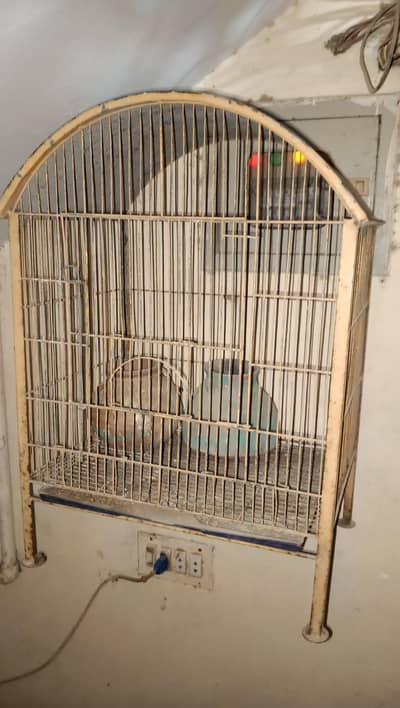 cage available