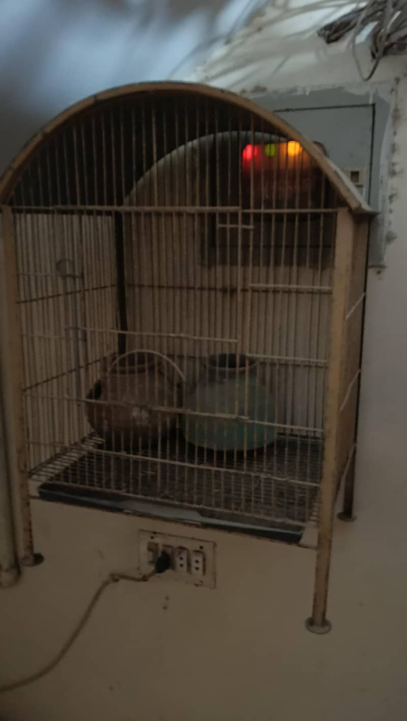 cage available 1