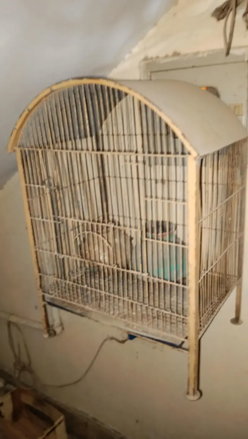 cage available — photo 3