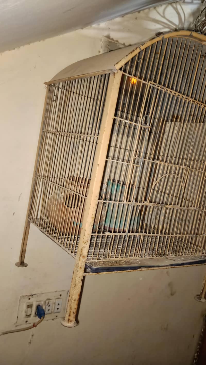 cage available 3