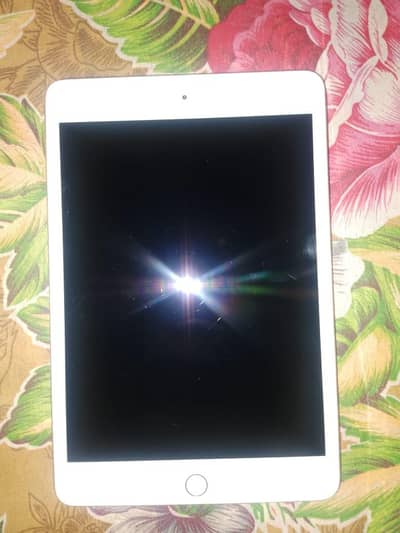 iPad mini 5 ( 256 )GB