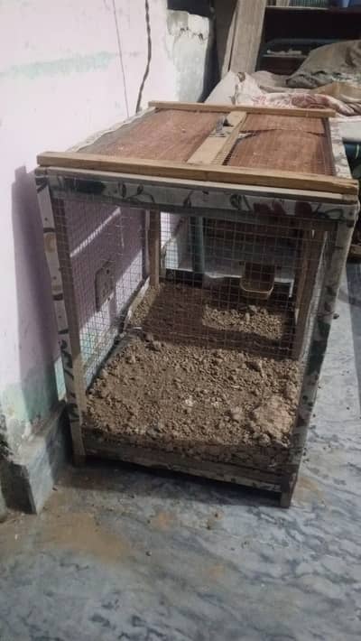 pijhra forsale