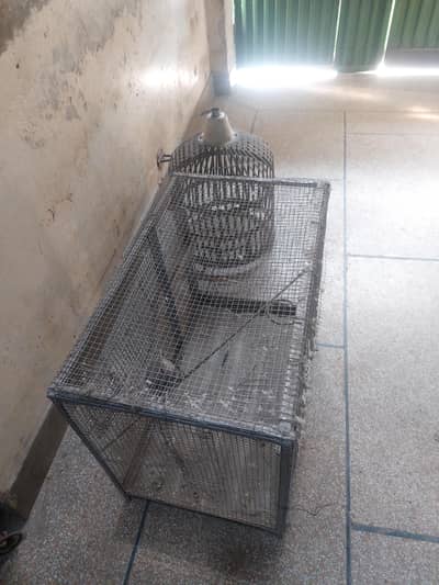 Cages For sale