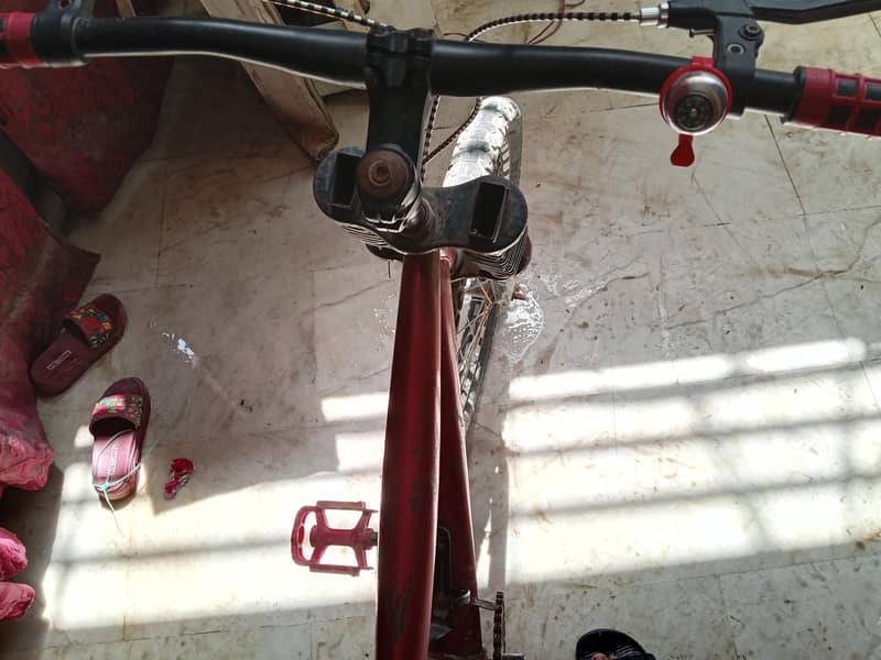 cycle 4