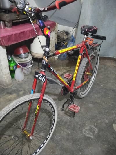 fonic cycle
