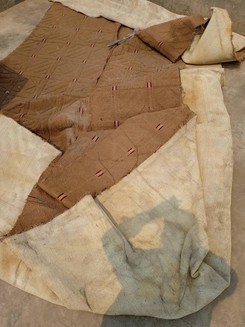 carpet 1