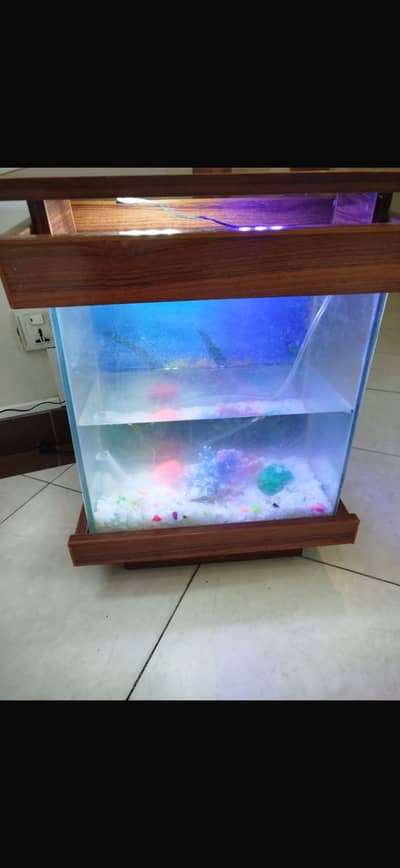 Aquariam best quality WhatsApp 03456219992
