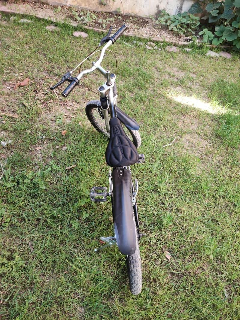Cycle 1