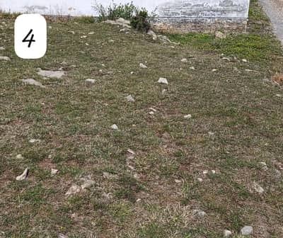 8 Marla Residential Plot is available For Sale in PMA, Abbottabad