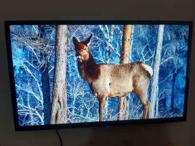 32 tcl smart