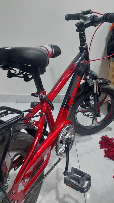 Amazing bicycle for kids
