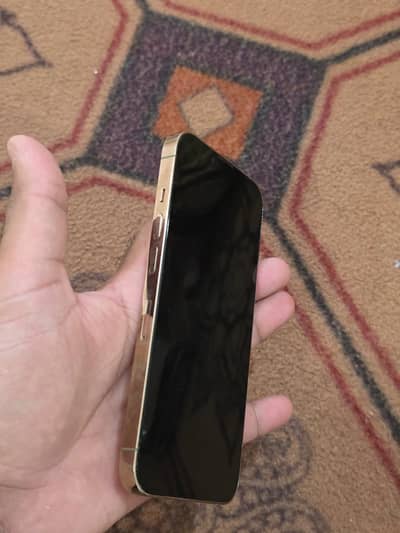 Apple iPhone 13 Pro