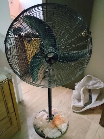 essa fan