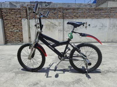 Dolphin black bicylce dor sale