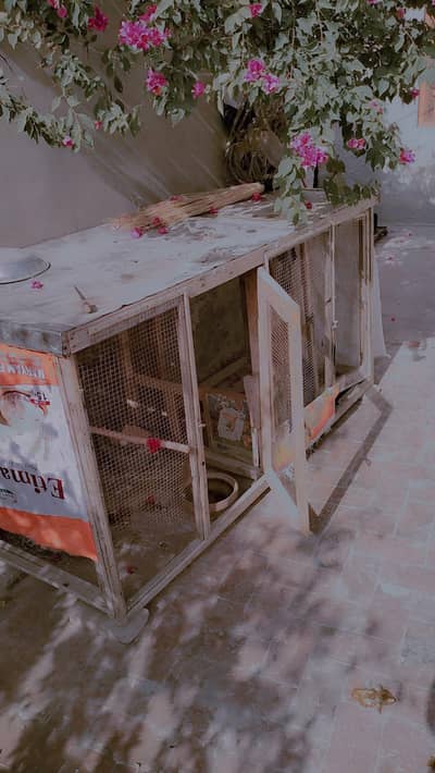 Cage For Birds