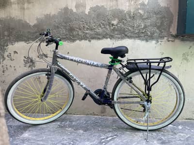 phoenix cycle