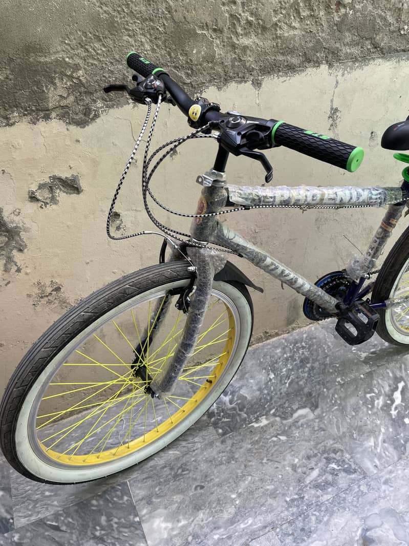 phoenix cycle 1