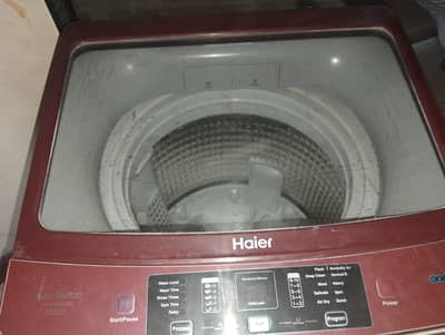 Haier 12 kg top load washing machine